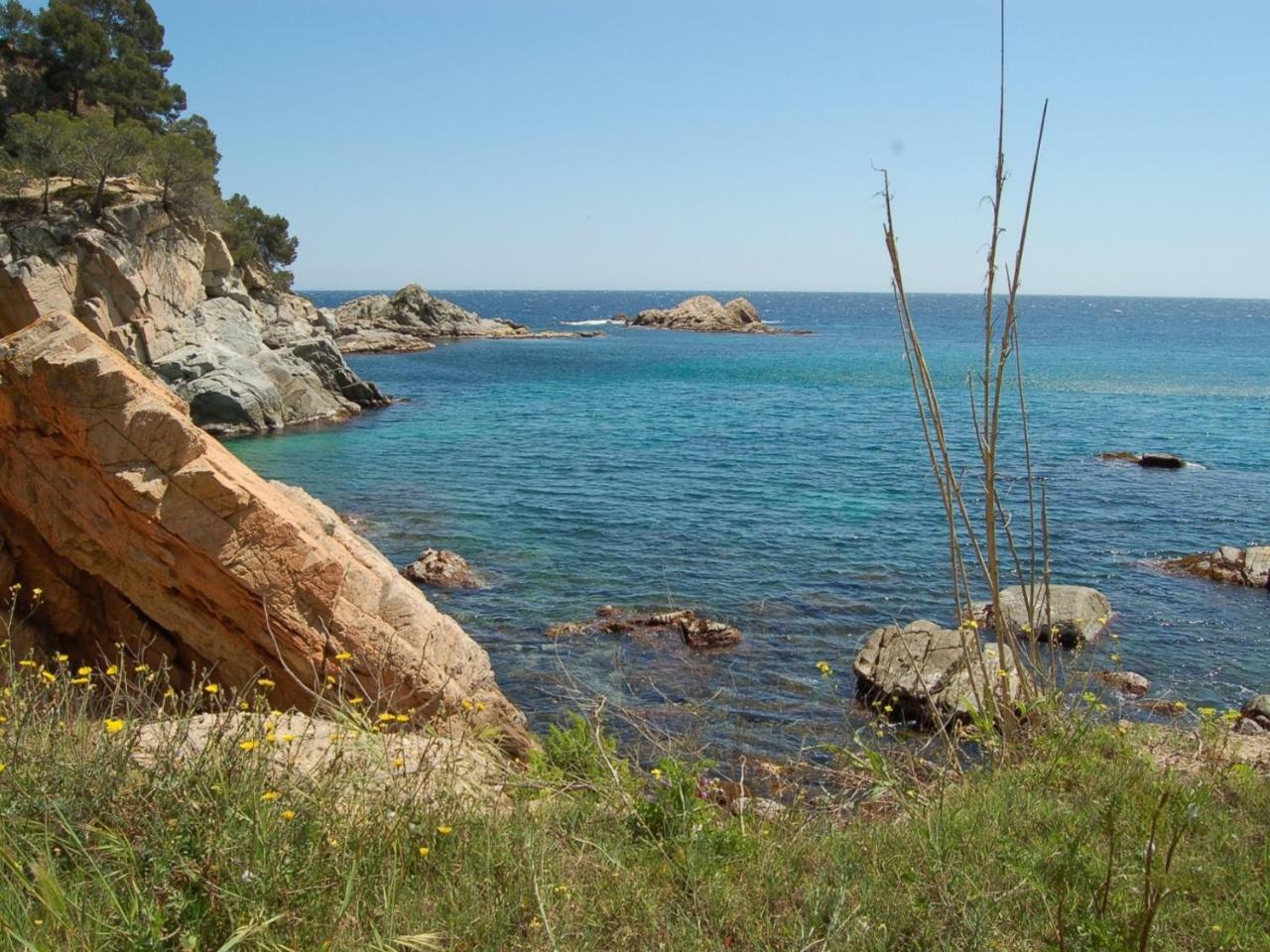Studios Face A La Mer - Cala Llevado Tossa de Mar Exterior foto